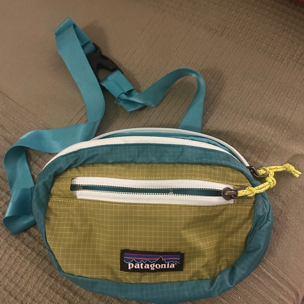 Patagonia Olive and Teal Belt Bag